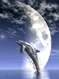 background - a dolphin jumping under the moon.