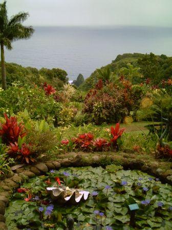 a shooting spot from movie Jurassic Park.......... - Garden of Eden..................................