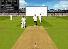 cricket - cricket is played btween two teams.I like playing cricket...I support Australia in cricket.