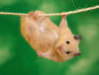 Cute Pictures - This is one of my favorite picture you can also enjoy.....