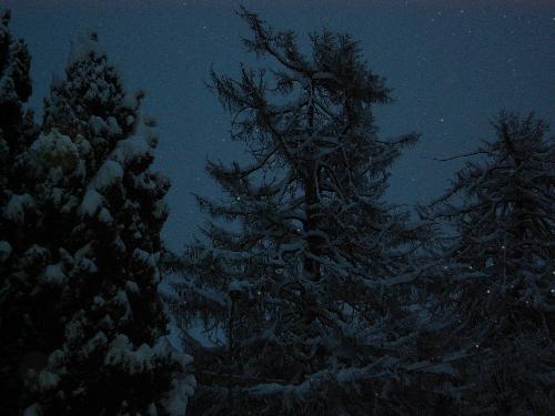 still snow - wonderful snow, i adore it!