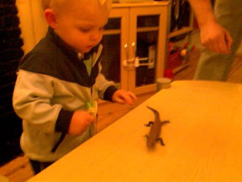 New Pet - Brandons first pet, a skink, called redeye.