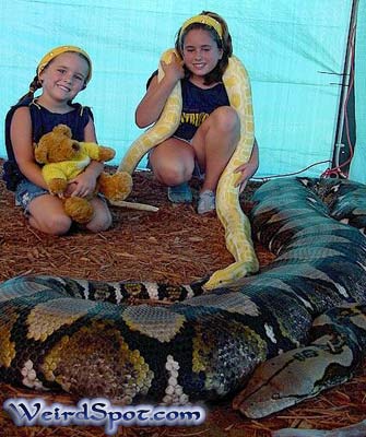 kids with a snake - two kids one with a toy another with a big snake....
