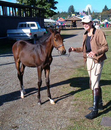 Lion Heart at the Fair - When he was just a few months old I took him to the local fair. He enjoyed looking around and especially liked to watch the rides and lights!