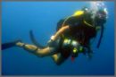 scuba diving - scuba diviing under the sea