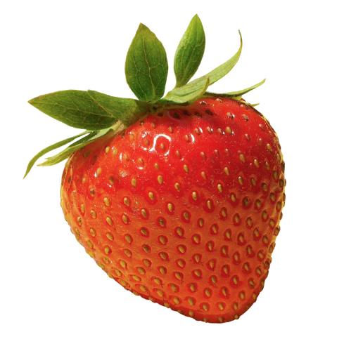 Strawberry - Strawberry lovers..