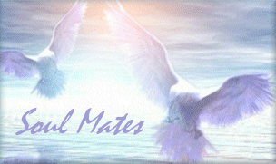 soul mates - soul mate doves soul mates - soul mate doves
