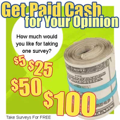 pay surveys - pay surveys photo
