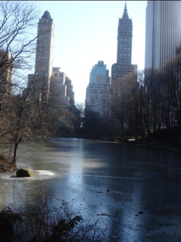 central park - view of the central park