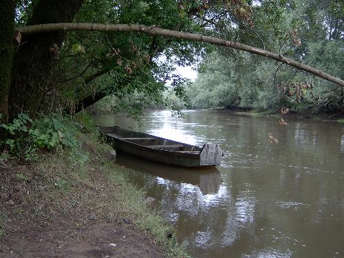 River Glina, Town Glina, Country Croatia - This is picture of river Glina in Croatia. Nice clean river where we go every summer. Picture was taken by me or my wife (not sure). I just wanted to share this peace of haven with You