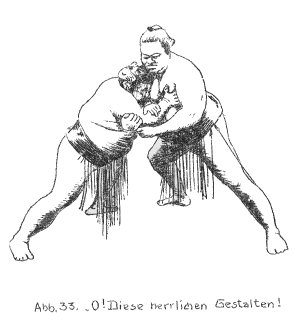 Sumo Wrestlers - sumo wrestlers