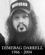 dimebag darrel - pensive pose from the late great dimebag darrel