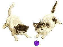 Kittens - Kittens playing with a ball