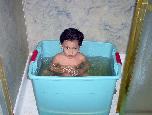My poor bebe in the bucket of cool water! - How cute, he's in the bucket of cool water!