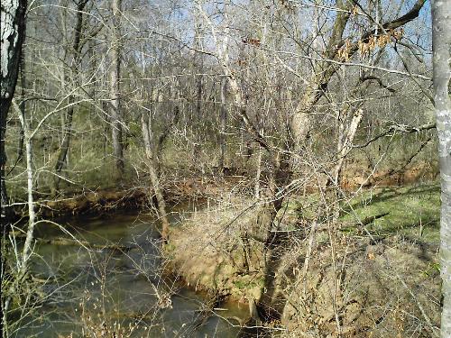 River in Riceville - Well more of a creek really, but it is quite pretty here. This one makes many turns and bends as it runs around several knobbs. You may catch a glimpse of a great blue heron here, as one is nesting near by.