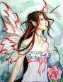 rose fairy - rose fairy img