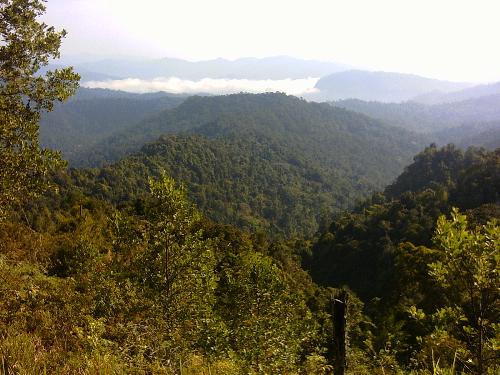 Best Nature - Best Nature in my trips