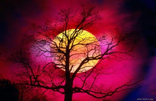 Nature - A mixture of beauty and mystery.