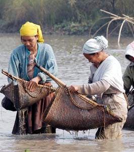 Community fishing,assam,india - Community fishing,assam,india with traditional fishing trap.