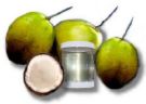 vigin coconut oil - oil extracted from cocnut.