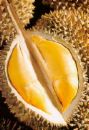 durian - durian image