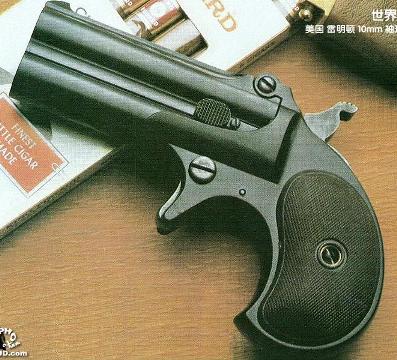 Gun - Many years a ago, an English writer wrote sarcastic works about some issues in the Muslims beliefs. It made the leader of the religion in Middle East very angry. He claimed he has to punish the writer for his disrespect of the religion.