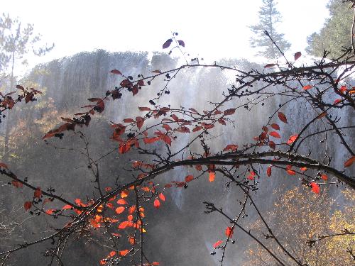 Autumn Leaves - Autumn leaves with waterfall in the background.
