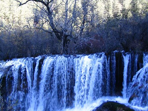 Waterfall - Waterfall with trees at background at Jiuzhaigou.