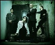 afi - The band AFI