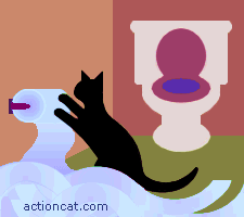 black cat - cat having fun