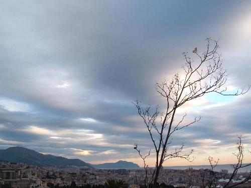 Genova - My city