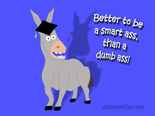 better 2 be a smart-as* than a dumb a*s ...!!! lol - anyone and every1.....im a smart as*....wat abt u??