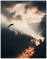 heaven is near - try this cool picture and picture how gate of heaven looks like