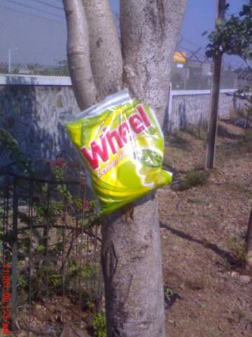tree on wheel - Can u imagine TREE ON WHEEL.