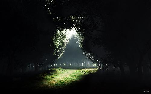 Darkness to light - Its new day, new plan. Life is a beating of young hearts. Its new world. Waiting for you. Beauty of morning!