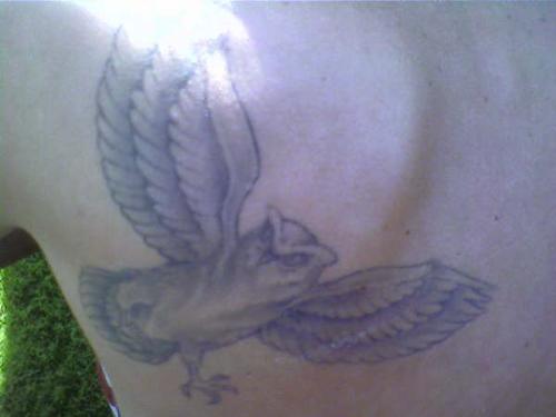 My tatoo - This is my tatoo...it's an owl. I draw it by myself..it's beautiful in my opinion