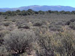 Mountainous Desert - view in south central colorado