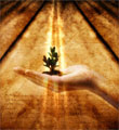 seed - Shaldean, safe in Gods hands now! seed - Shaldean, safe in Gods hands now!