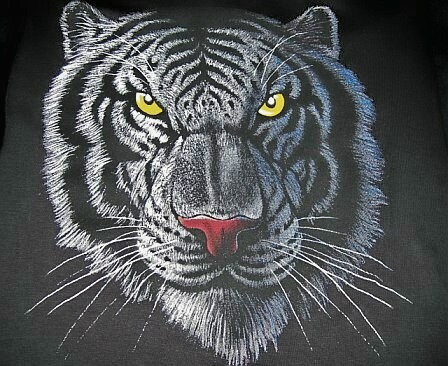 White Tiger - They are very rare and endangered. Beautiful animals. White Tiger - They are very rare and endangered. Beautiful animals.