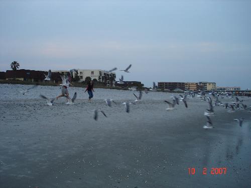 Beach - The cocoa beach at Cocoa, Florida