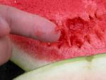 mouthwatering fruit - watermelon
