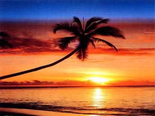 apus de soare tropical - apus de soare tzeava
