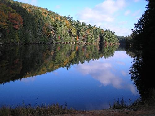 Scenic New England beauty - Taken in a state park in New England.