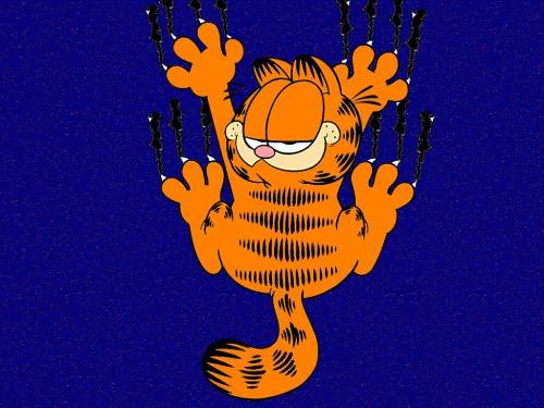 cat - garfield... wat say cat - garfield... wat say