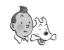 animation movies - tin tin