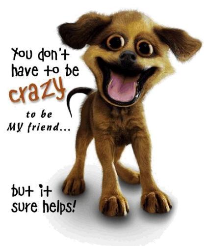 The crazier the better! - Im not suffering from insanity, I enjoy every minure of it.