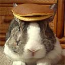 pancake - pancake