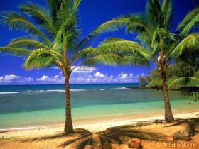 hawaii - hawaii beach