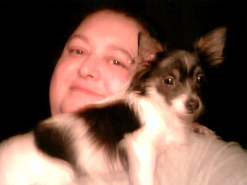 Me and Gizmo - This is me and my chihuahua Gizmo. He is 2 years old and weighs 5lbs. He will be Bella's mate when she is old enough to have puppies.