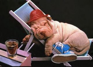 hey look he is sleepng - sleeping beauty